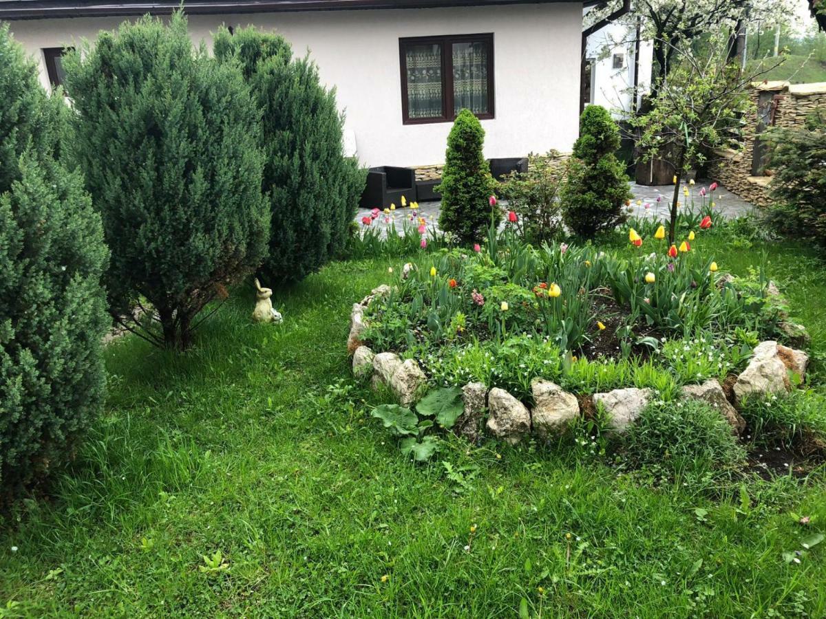 브란 Casa Maria 빌라 외부 사진
